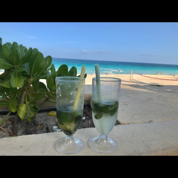 Meet your Posher, Violet - Picture 1 of 1